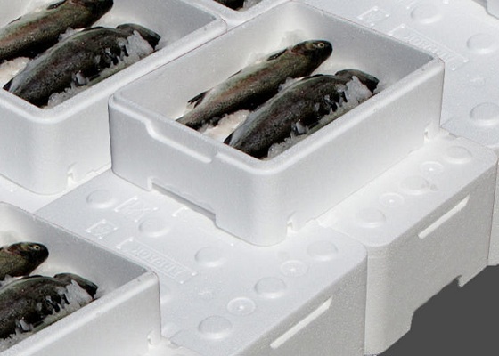 How USA Seafood Merchants Deal with Styrofoam Waste